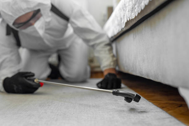 Professional Bed Bug Control technician working in Wilmington, IL